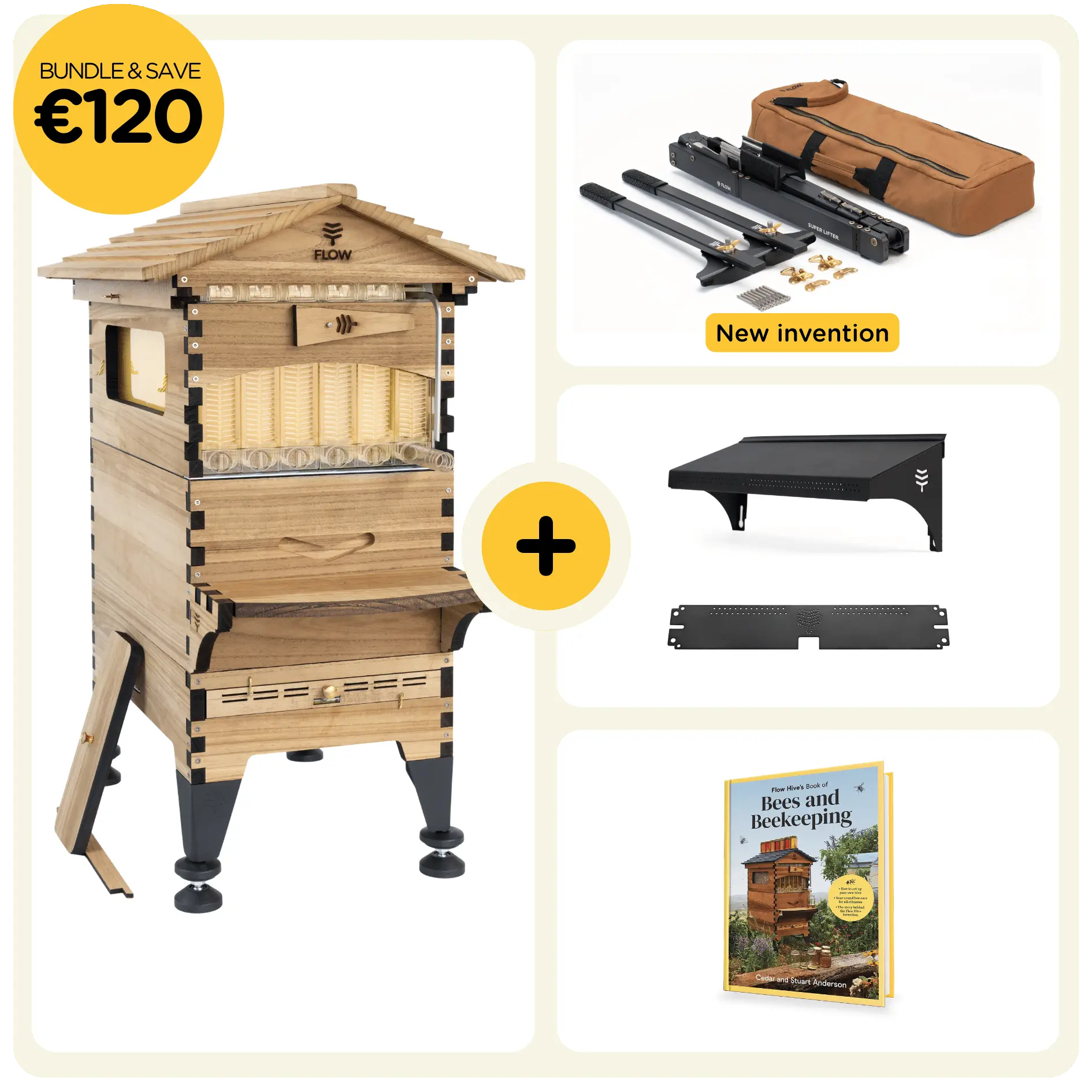 Coupon - Black Friday 22
